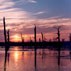 Sunset in Cypress Flats