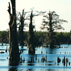 Cypress Flats