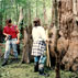 It is certainly old growth